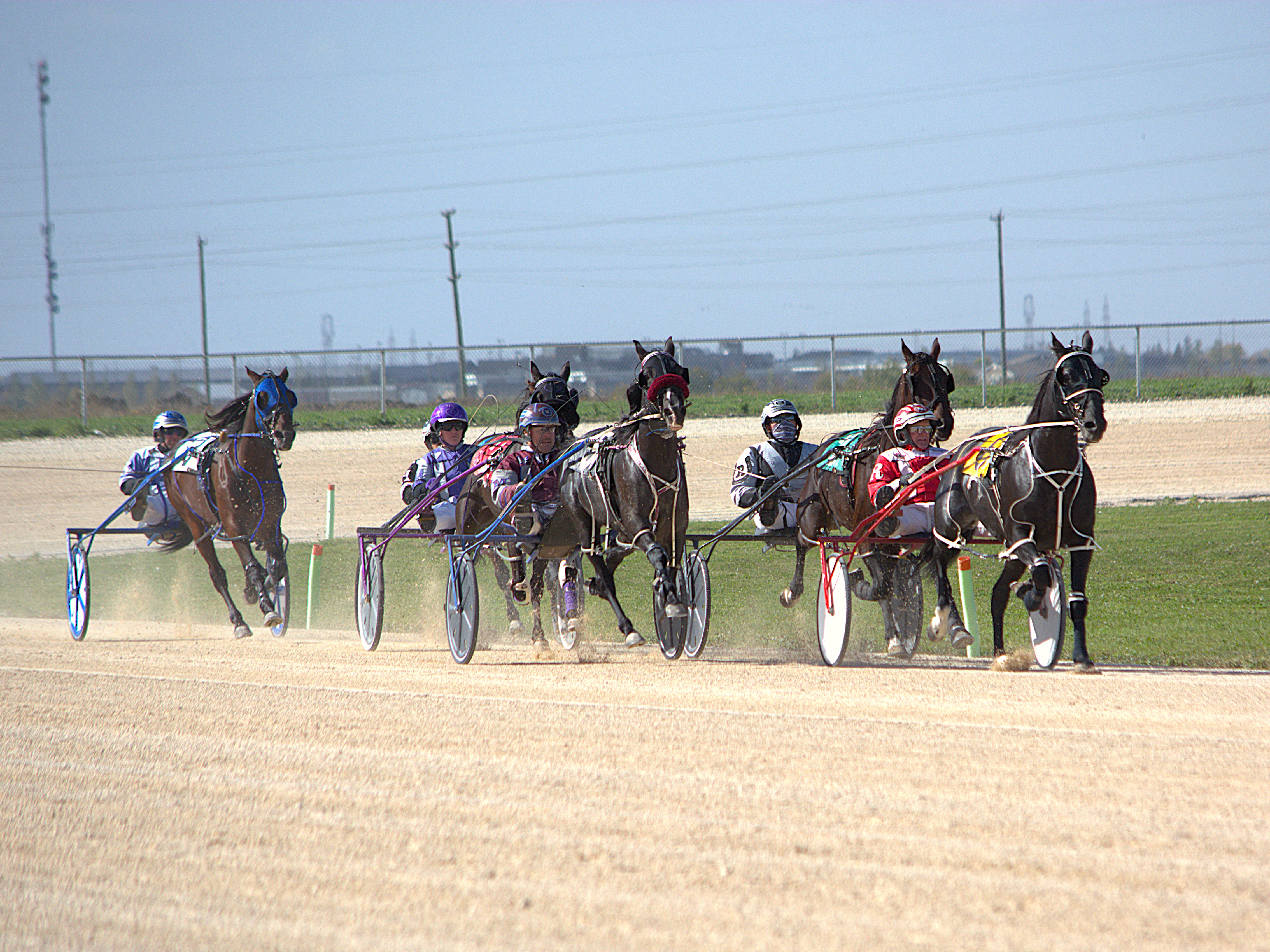 2025 Manitoba Harness Racing Schedule