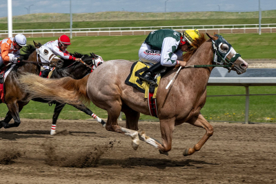 Remaining Alberta thoroughbred dates